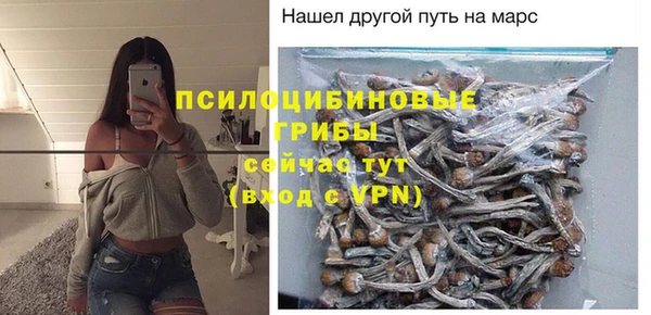 2c-b Богородицк