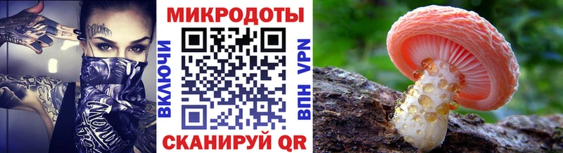 blacksprut онион Десногорск Галлюциногенные грибы Cubensis что такое